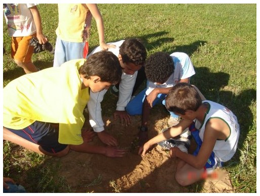 Educação Ambiental — foto 6